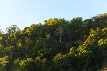Doi Pha Hom Pok National Park and The Garden at Angkhang mountain, chiangmai Thailand.
