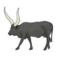 waltusi with white background separately