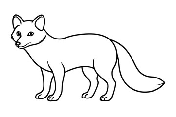 Elegant Arctic Fox Outline