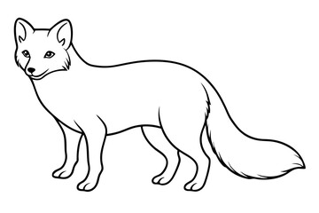 Elegant Arctic Fox Outline