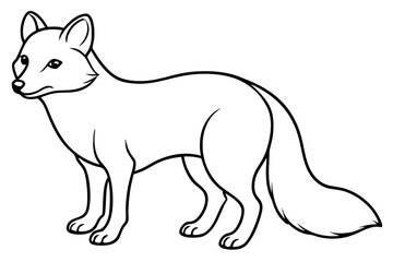 Elegant Arctic Fox Outline