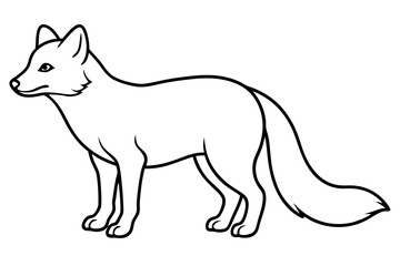 Elegant Arctic Fox Outline