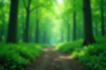 Obraz premium Deep emerald green bokeh, blurred forest scene, deep green, shadow