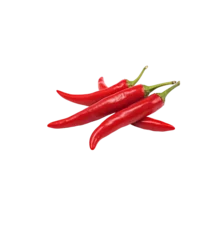 red hot chili peppers,red chili peppers ,red chili peppers red hot chili peppers red hot chili peppers tickets, red hot chili pipers, red hot chili peppers 2025, red hot chili, chili peppers tickets