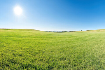 Obraz premium Beautiful green grass field under a bright blue sky and shining sun