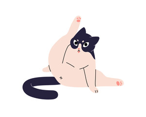 Cute kitty raises up its paw and cleans butt. Goofy cat in funny pose washing, licks self. Amusing kitten sits, cleaning, washes fur with tongue. Flat isolated vector illustration on white background © Paper Trident