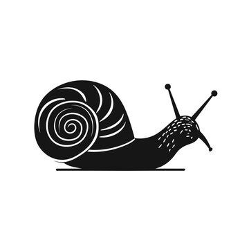 recommend clip art: black silhouette of a snail