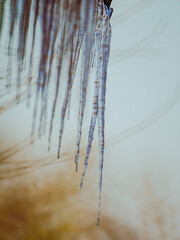 icicles hanging from a roof