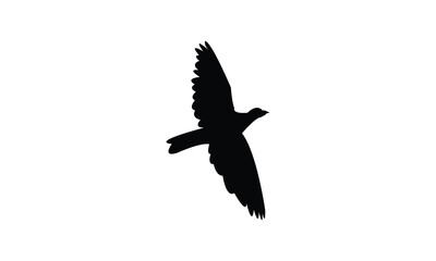 African green pigeon bird Silhouette Design  And Vector Illustration. 

