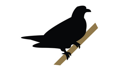 African green pigeon bird Silhouette Design  And Vector Illustration. 
