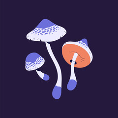 Inedible false parasol mushroom with patterned violet cap. Forest poisonous boletus. Colourful psychedelic fungus, hallucinogenic bolete. Venomous agaric, amanita. Flat isolated vector illustration