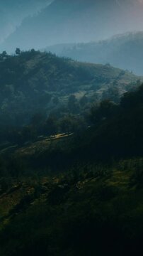 autumn forest on green rocky hills
