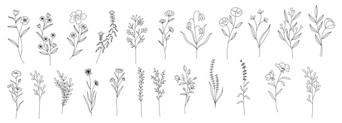 Botanic set of detailed various flowers. Luxury vintage floral collection for wedding invitation. Botanical vector