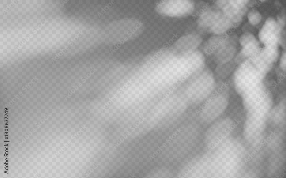 Sticker abstract shadow overlay from foliage on a transparent background.