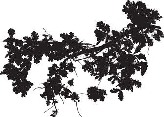Vector illustration of natural oak tree branch with leaves