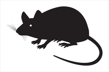 rat on a white background