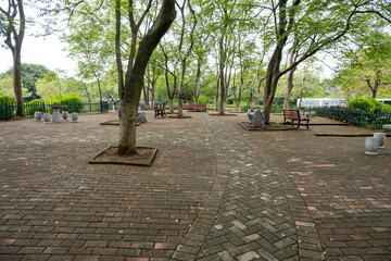 A Chinese urban park featuring a brick-paved plaza with seating benches, and mature trees placed in individual tree wells, creating a geometric and structured landscape and hardscaping design.  © Doublelee