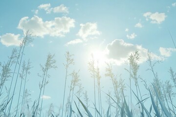 Low-angle view of tall grass silhouetted against a bright, sunny sky with fluffy white clouds.