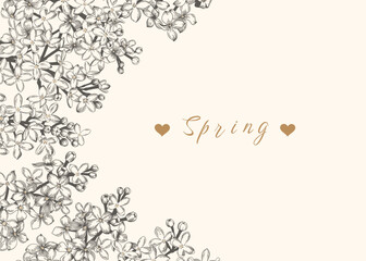 Border with lilac flowers. Black and white. Botanical vector illustration. Linear art style. Floral background with place for text.