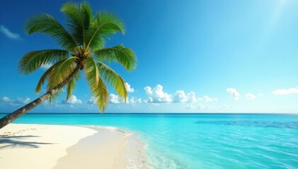 Lone palm, turquoise water, sun-drenched isle, peaceful, sun, escape