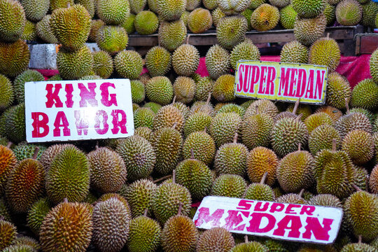 Display of Durian Fruit Variants King Bawor and Super Medan sold at the Traditional Fruit Market
