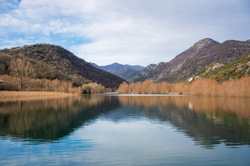 Trees and reeds on River Crnojevica, place near Lake Skadar in Montenegro surrounded by mountain peaks in winter time