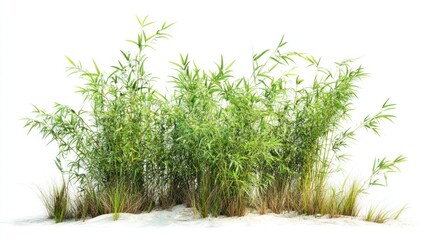 Lush green bamboo and grass cluster on a bed of sand.