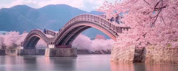 Kintai Bridge during cherry blossom season
