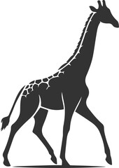 Giraffe walking gracefully with one front leg lifted vector silhouette
