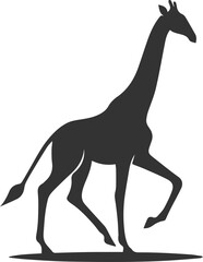 Giraffe walking gracefully with one front leg lifted vector silhouette