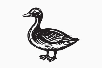 Obraz premium Duc vector silhouette illustration of mullard duck isolated on white background