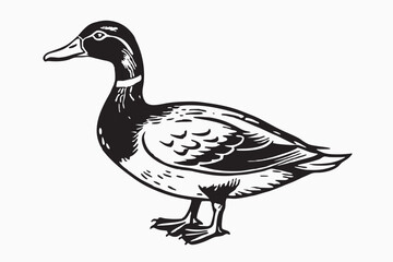 Goose bird Icon silhouette isolated on white background.