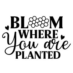 Bloom where you are planted Svg