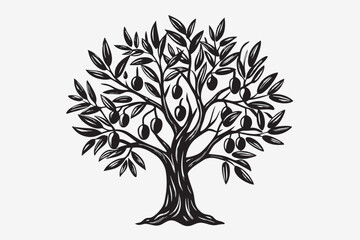Obraz premium Black silhouette olive branch with leaves and fruit. Realistic sketch isolated on white background. Olive tree twig botanical drawing