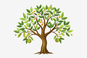 colourful Olive tree on vintage paper. Realistic sketch isolated on white background. Olive tree twig botanical drawings in engraved style. 