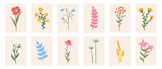 Floral botanical composition set. Modern trendy colorful minimal style. Vector design for print, wallpaper, card and invite, poster