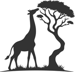 Giraffe stretching its neck upwards to eat from a tree vector silhouette