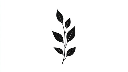 Simple black leaf branch illustration, white background, nature design, website graphic