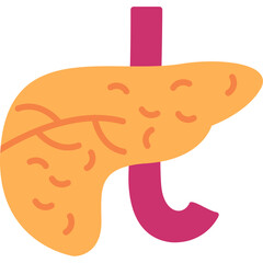 Pancreas Icon