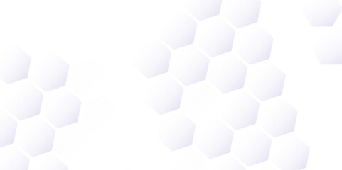 Unveiling the Digital Blueprint: A Comprehensive Look at the White and Gray Honeycomb Structures in 3D Grid Patterns and Technology Layouts
