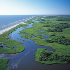 Aerial view of winding coastal river surrounded by lush green marshlands meeting the ocean horizon


