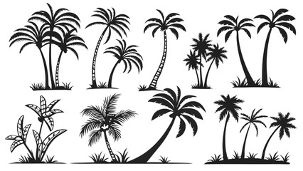 Collection of palm tree silhouettes, tropical plant set, black vector illustrations of palm trees in various shapes and sizes, island nature design elements for vacation, summer, and beach themes
