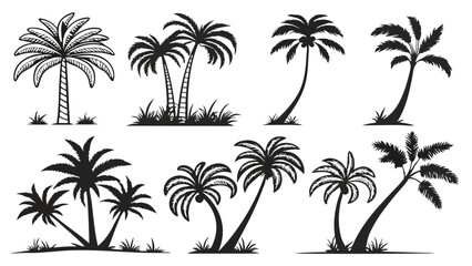 Collection of palm tree silhouettes, tropical plant set, black vector illustrations of palm trees in various shapes and sizes, island nature design elements for vacation, summer, and beach themes
