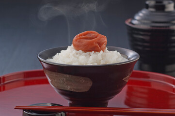 ご飯と梅干し−2