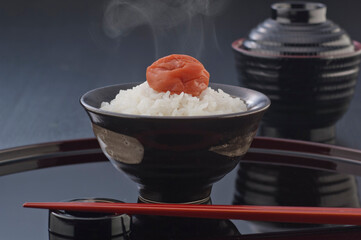 ご飯と梅干し−3