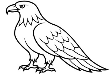 Obraz premium Elegant Eagle Stroke