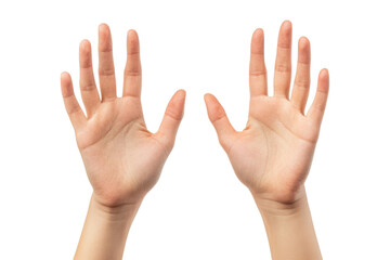 hands isolated on white background