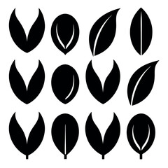 Set of Black and White Leaf Icons for Design and Branding