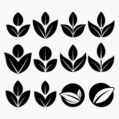 Set of Black and White Leaf Icons for Design and Branding