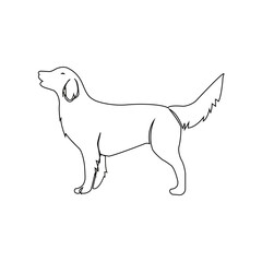 vector illustration of a dog